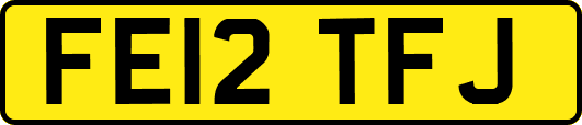 FE12TFJ