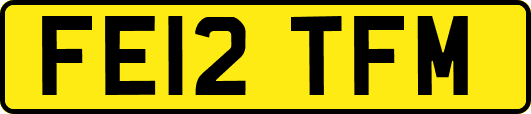 FE12TFM