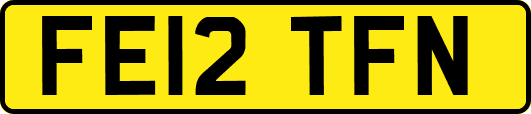 FE12TFN