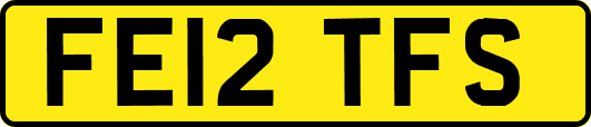 FE12TFS