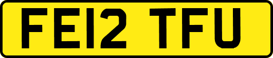 FE12TFU