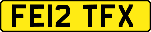 FE12TFX