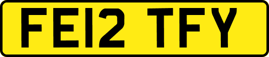 FE12TFY