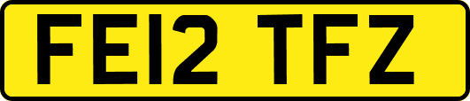 FE12TFZ