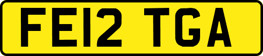 FE12TGA