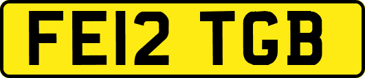 FE12TGB