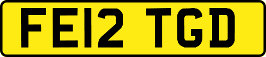 FE12TGD