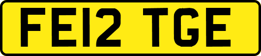 FE12TGE