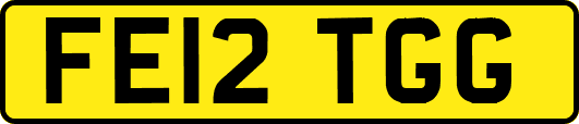FE12TGG
