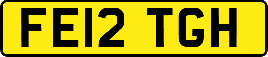 FE12TGH