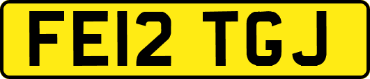 FE12TGJ