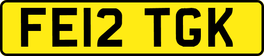FE12TGK