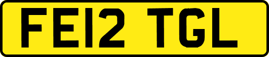 FE12TGL