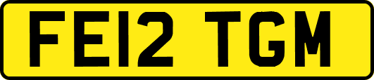 FE12TGM