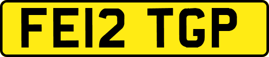 FE12TGP