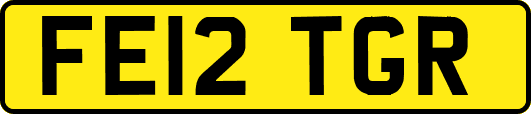FE12TGR