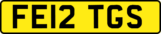 FE12TGS