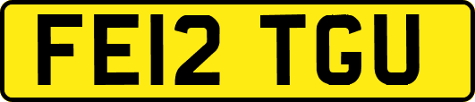 FE12TGU