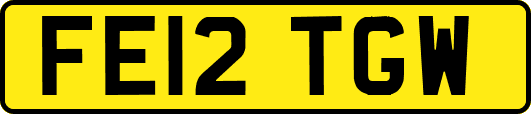 FE12TGW