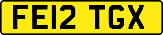 FE12TGX