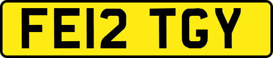 FE12TGY
