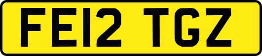 FE12TGZ