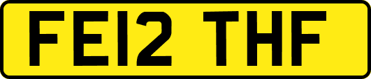 FE12THF