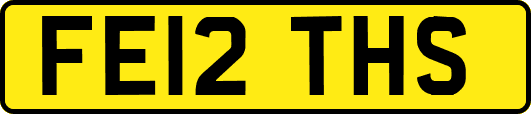 FE12THS