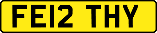 FE12THY