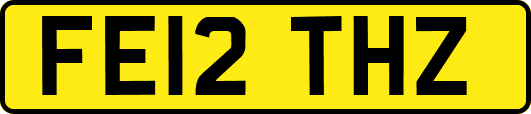 FE12THZ