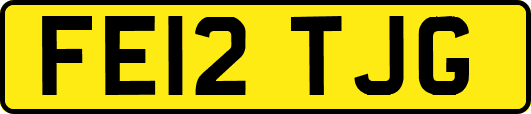 FE12TJG