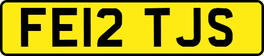 FE12TJS