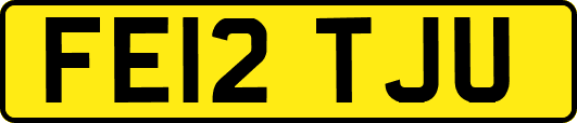 FE12TJU