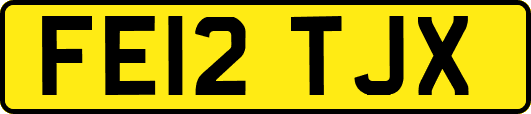 FE12TJX