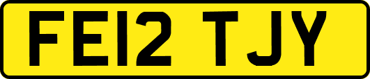 FE12TJY