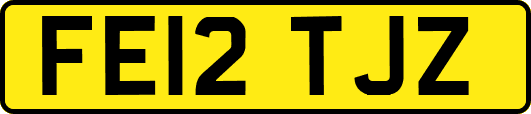 FE12TJZ