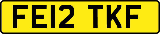 FE12TKF