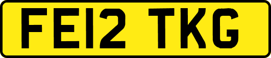 FE12TKG