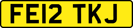 FE12TKJ