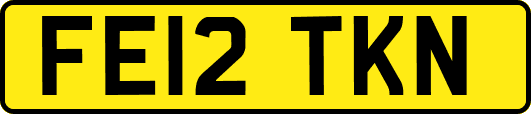 FE12TKN