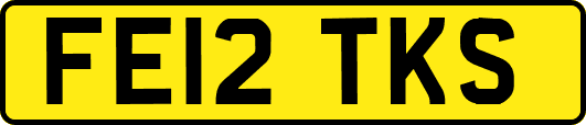 FE12TKS