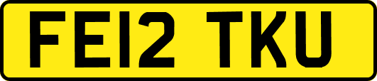 FE12TKU