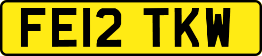 FE12TKW