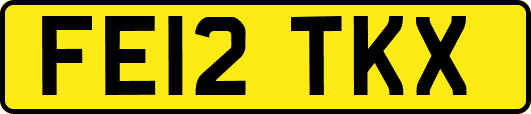 FE12TKX