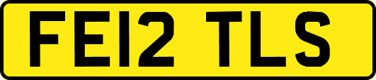 FE12TLS