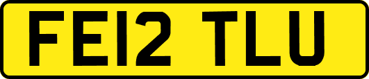 FE12TLU