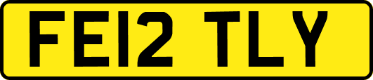 FE12TLY