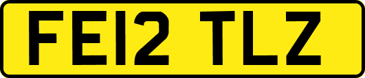 FE12TLZ