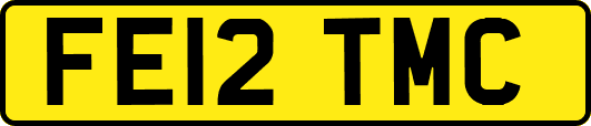 FE12TMC
