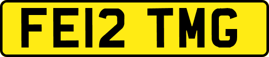 FE12TMG
